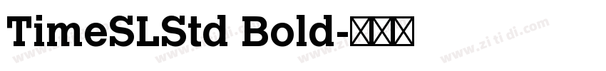 TimeSLStd Bold字体转换